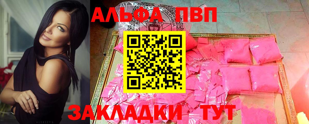 A PVP СК КРИС Пенза